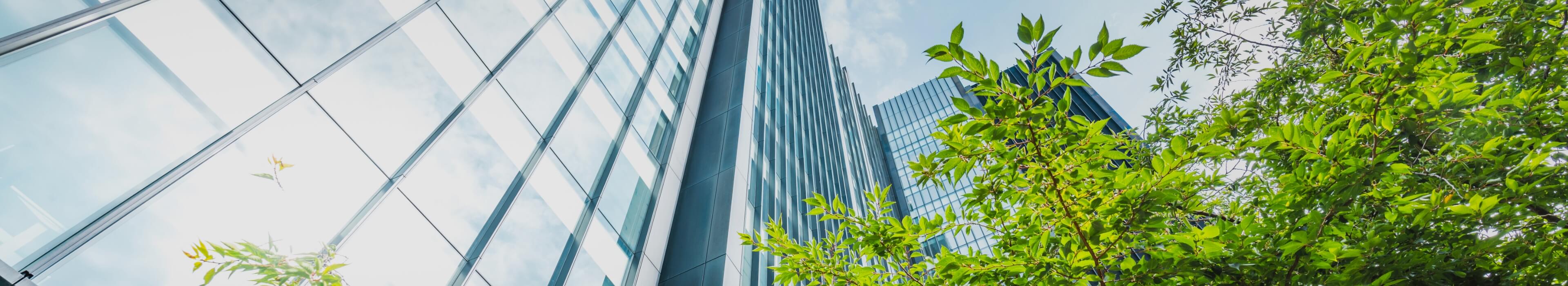 会社情報