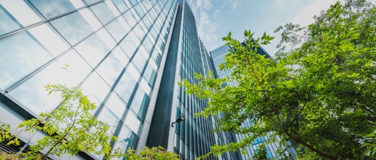 会社情報