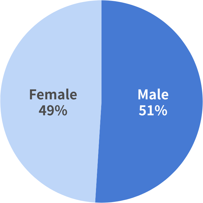 Pie chart showing gender breakdown at Optimus